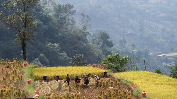 Preservan valores culturales de etnia Co Lao en provincia vietnamita ảnh 1 Preservan valores culturales de etnia Co Lao en provincia vietnamita ảnh 1