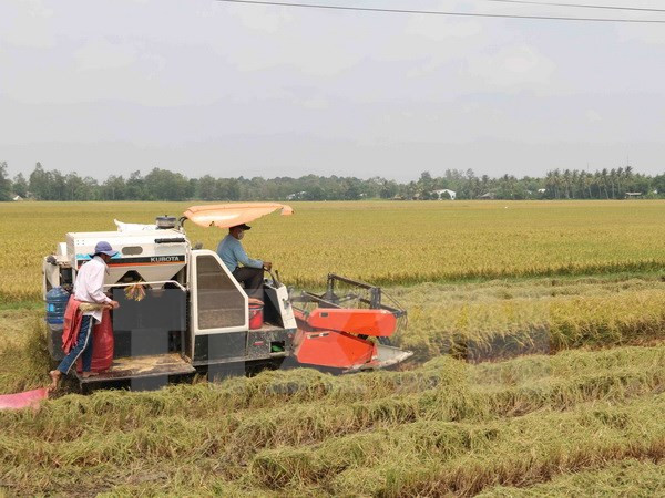 Venezuela oficializa acuerdos agrícolas con Vietnam ảnh 1 Venezuela oficializa acuerdos agrícolas con Vietnam ảnh 1