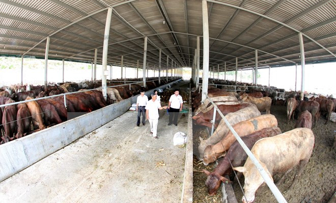 Grupo estadounidense Cargill amplía inversión en Vietnam ảnh 1