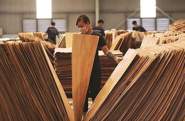 EE.UU extiende plazo de emitir conclusión sobre madera contrachapada vietnamita ảnh 1 EE.UU extiende plazo de emitir conclusión sobre madera contrachapada vietnamita ảnh 1