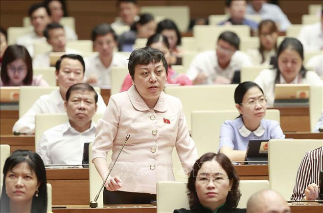 Votantes aprecian dirección eficiente del Gobierno vietnamita en desarrollo socioeconómico ảnh 2 Votantes aprecian dirección eficiente del Gobierno vietnamita en desarrollo socioeconómico ảnh 2