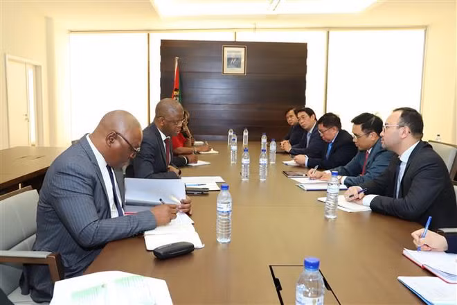 Vietnam y Mozambique fortalecen cooperación en desarrollo agrícola ảnh 1