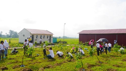 Plantan miles de árboles para un Vietnam más verde ảnh 1 Plantan miles de árboles para un Vietnam más verde ảnh 1