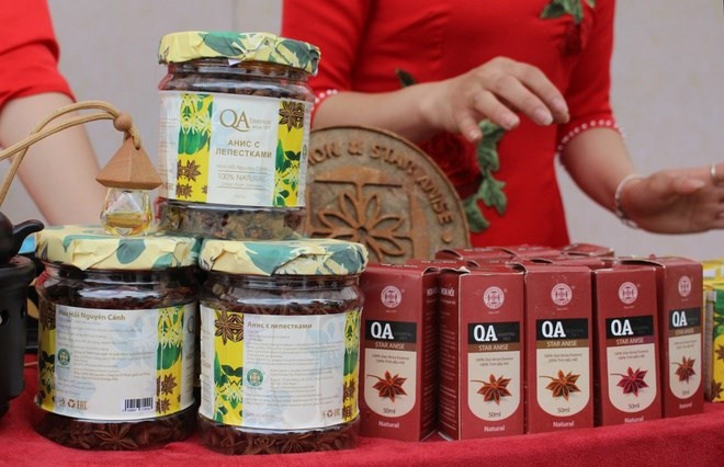 Provincia vietnamita promociona su especialidad de anís estrellado ảnh 1 Provincia vietnamita promociona su especialidad de anís estrellado ảnh 1