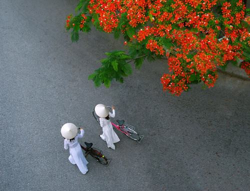 Exposición fotográfica refleja vitalidad de urbes vietnamitas ảnh 1 Exposición fotográfica refleja vitalidad de urbes vietnamitas ảnh 1