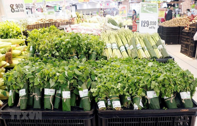 El primer distrito en Vietnam que dice “no” a las basuras plásticas ảnh 1 El primer distrito en Vietnam que dice “no” a las basuras plásticas ảnh 1