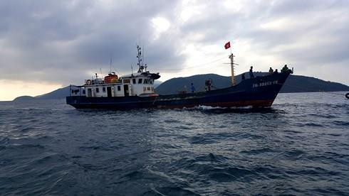 Rescatan a seis pescadores vietnamitas tras naufragio ảnh 1