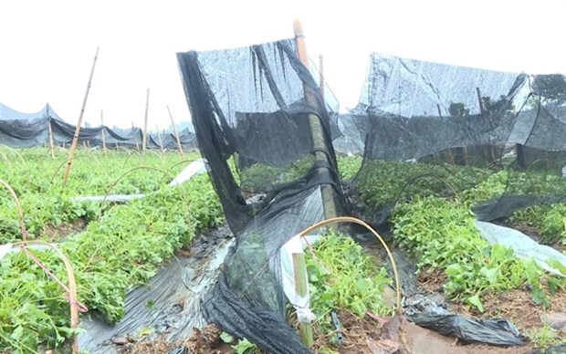 Ministro vietnamita llama a fortalecer respuesta a desastres ảnh 1