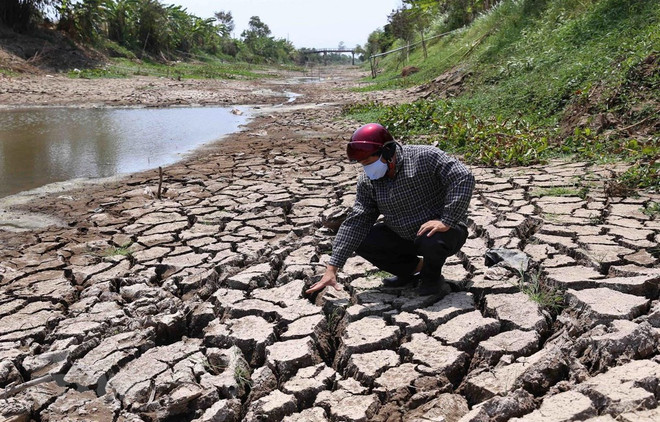 Proponen en Vietnam paquete de ayuda para tratar la salinidad y sequía ảnh 1 Proponen en Vietnam paquete de ayuda para tratar la salinidad y sequía ảnh 1
