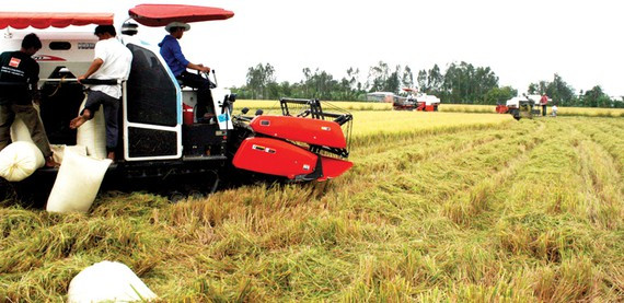 Vietnam busca un crecimiento del PIB de siete por ciento ảnh 1 Vietnam busca un crecimiento del PIB de siete por ciento ảnh 1