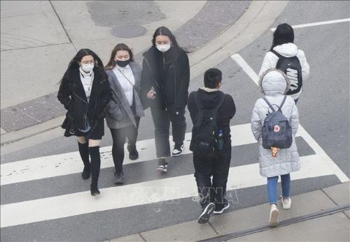 Universidades de Canadá se compromete a apoyar a estudiantes vietnamitas ảnh 1 Universidades de Canadá se compromete a apoyar a estudiantes vietnamitas ảnh 1