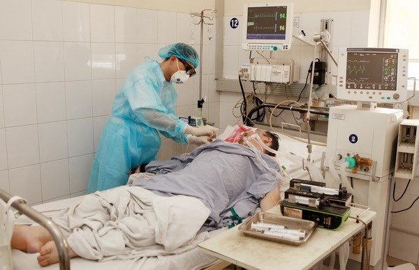 Reportan un fallecido por gripe aviar H1N1 en provincia survietnamita de Ca Mau ảnh 1 Reportan un fallecido por gripe aviar H1N1 en provincia survietnamita de Ca Mau ảnh 1