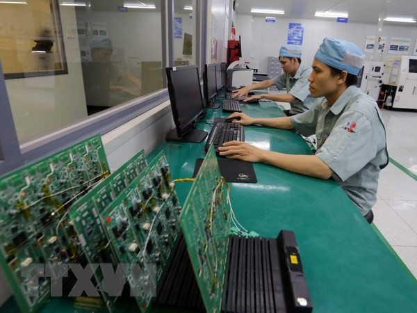 Exportaciones de An Giang registraron fuerte incremento ảnh 1 Exportaciones de An Giang registraron fuerte incremento ảnh 1