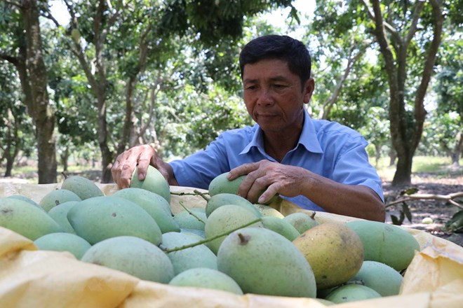 Vietnam convida a empresas suizas a invertir en agricultura ảnh 1