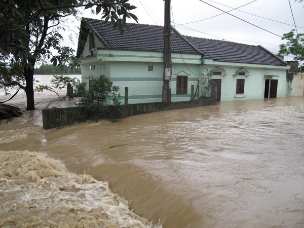 Provincias vietnamitas impulsan recuperación en áreas golpeadas por inundaciones ảnh 1 Provincias vietnamitas impulsan recuperación en áreas golpeadas por inundaciones ảnh 1