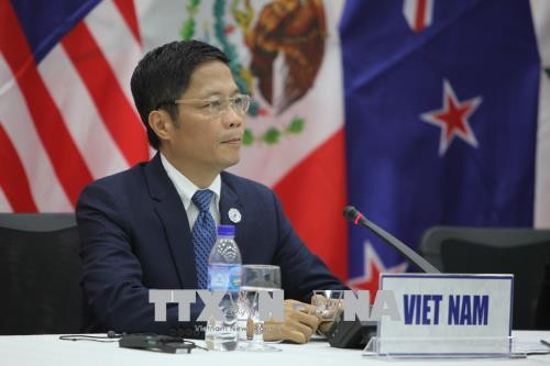 Vietnam y Japón reiteran compromiso con cooperación en el marco de CPTPP ảnh 1 Vietnam y Japón reiteran compromiso con cooperación en el marco de CPTPP ảnh 1