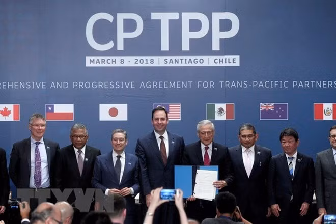 Japón finaliza procedimientos internos para la ratificación del CPTPP ảnh 1 Japón finaliza procedimientos internos para la ratificación del CPTPP ảnh 1