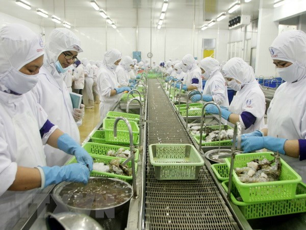 Ca Mau: alta meta de exportación de camarones ảnh 1 Ca Mau: alta meta de exportación de camarones ảnh 1