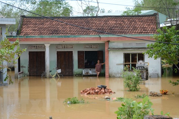 Asisten a localidades vietnamitas afectadas por inundaciones en saneamiento ambiental ảnh 1 Asisten a localidades vietnamitas afectadas por inundaciones en saneamiento ambiental ảnh 1