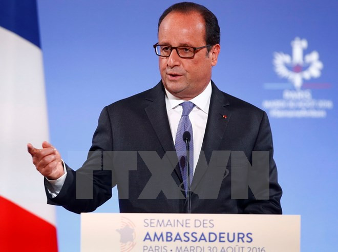 Visita de Francois Hollande promoverá la asociación estratégica Francia- Vietnam ảnh 1 Visita de Francois Hollande promoverá la asociación estratégica Francia- Vietnam ảnh 1