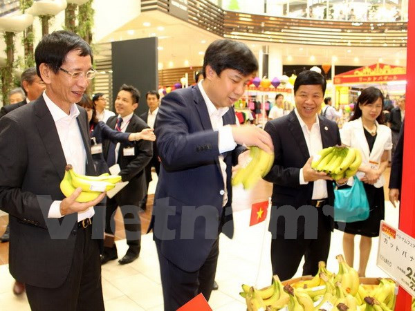 Grupo Aeon ayuda a empresas vietnamitas a acceder al mercado japonés ảnh 1 Grupo Aeon ayuda a empresas vietnamitas a acceder al mercado japonés ảnh 1