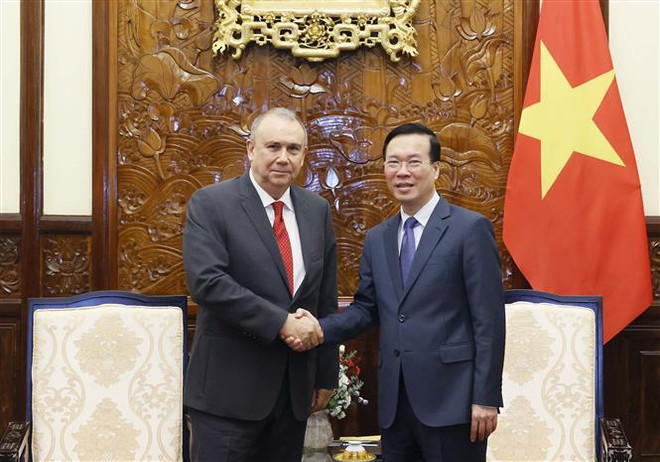 Presidente de Vietnam recibe a embajadores de Nueva Zelanda y Perú ảnh 2 Presidente de Vietnam recibe a embajadores de Nueva Zelanda y Perú ảnh 2