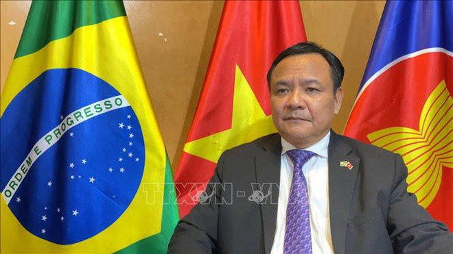Brasil aspira a fortalecer lazos con Vietnam, afirma embajador vietnamita ảnh 1 Brasil aspira a fortalecer lazos con Vietnam, afirma embajador vietnamita ảnh 1