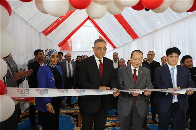 Inauguran primera fábrica de empresa vietnamita en Egipto ảnh 1