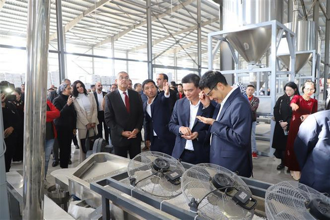 Inauguran primera fábrica de empresa vietnamita en Egipto ảnh 2