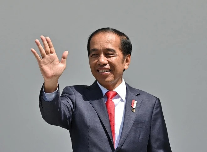Visita del presidente indonesio a Vietnam fortalecerá lazos bilaterales ảnh 2