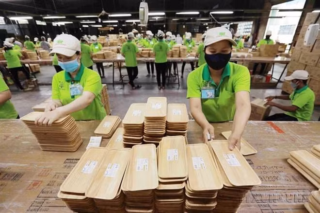 Florecen cooperación comercial Vietnam-Suecia ảnh 2
