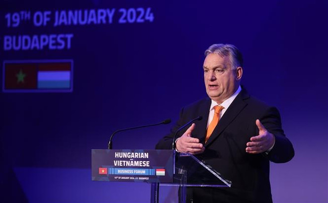 Efectúan Foro empresarial Vietnam-Hungría ảnh 2 Efectúan Foro empresarial Vietnam-Hungría ảnh 2