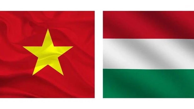 Visita de premier vietnamita a Hungría estrechará relaciones bilaterales, según embajadora ảnh 1