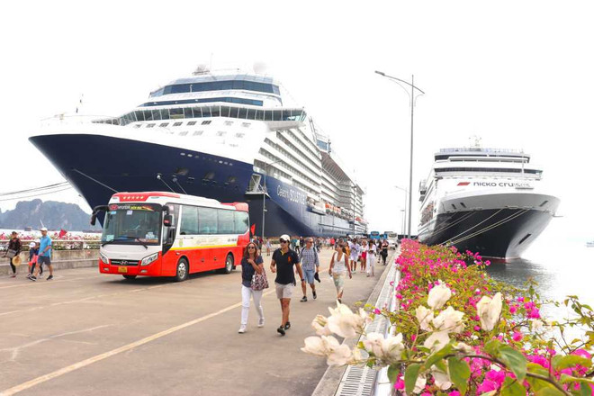 Provincia de Quang Ninh recibirá 60 cruceros turísticos internacionales en 2024 ảnh 1 Provincia de Quang Ninh recibirá 60 cruceros turísticos internacionales en 2024 ảnh 1