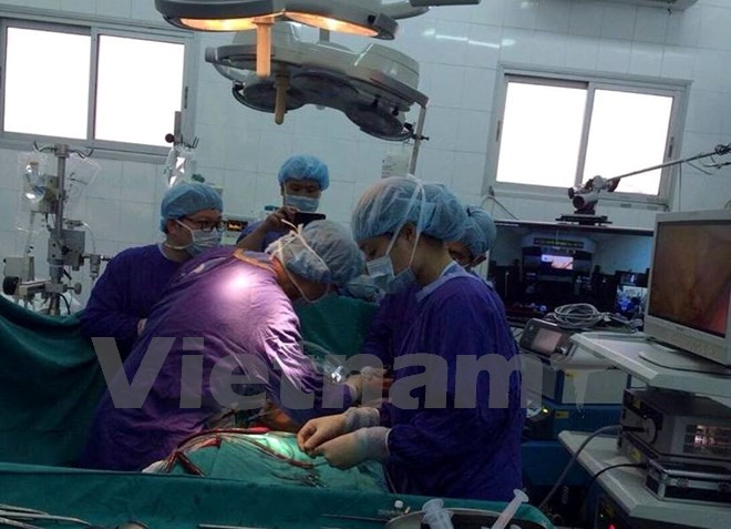 Vietnam y Australia intercambian experiencias en el sector de salud ảnh 1 Vietnam y Australia intercambian experiencias en el sector de salud ảnh 1