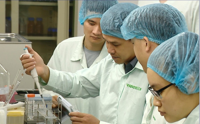 Vietnam necesita mejorar capacidad de producción de vacunas, recomiendan expertos ảnh 1