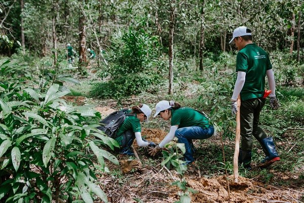 Nestlé promueve agricultura regenerativa y de bajas emisiones en Vietnam ảnh 2 Nestlé promueve agricultura regenerativa y de bajas emisiones en Vietnam ảnh 2