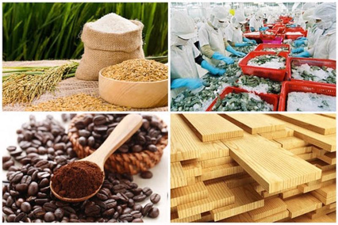 Exportaciones de productos agroforestales-acuáticos de Vietnam se recuperarán en segundo semestre ảnh 1 Exportaciones de productos agroforestales-acuáticos de Vietnam se recuperarán en segundo semestre ảnh 1