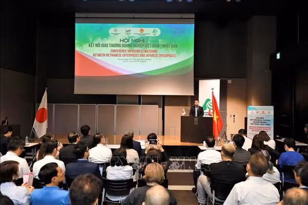 Efectúan conferencia de conexión empresarial Vietnam-Japón ảnh 2