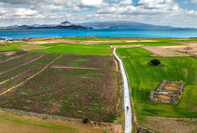 Exposición sobre isla surcoreana de Jeju se efectuará en provincia vietnamita ảnh 1 Exposición sobre isla surcoreana de Jeju se efectuará en provincia vietnamita ảnh 1