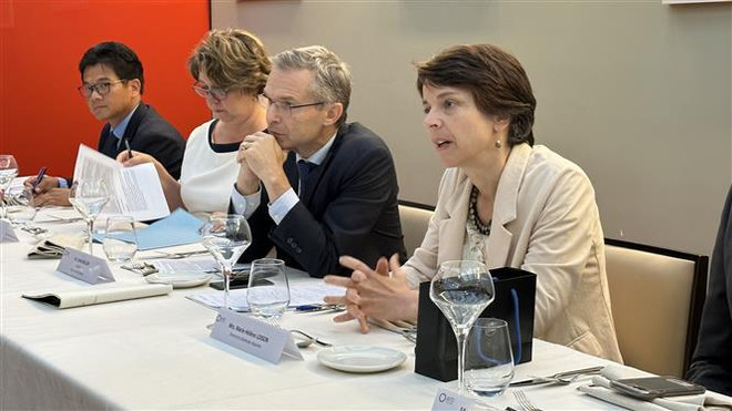 Vicepremier vietnamita se reúne con dirigente de la Agencia Francesa de Desarrollo ảnh 3 Vicepremier vietnamita se reúne con dirigente de la Agencia Francesa de Desarrollo ảnh 3