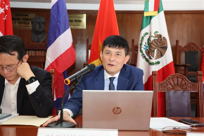 ASEAN promueve cooperación comercial con México ảnh 2 ASEAN promueve cooperación comercial con México ảnh 2