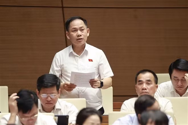 Parlamento de Vietnam debate sobre proyecto de Ley de Tierra (modificada) ảnh 2 Parlamento de Vietnam debate sobre proyecto de Ley de Tierra (modificada) ảnh 2
