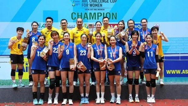 Avanza selección vietnamita de voleibol femenino al campeonato mundial ảnh 1