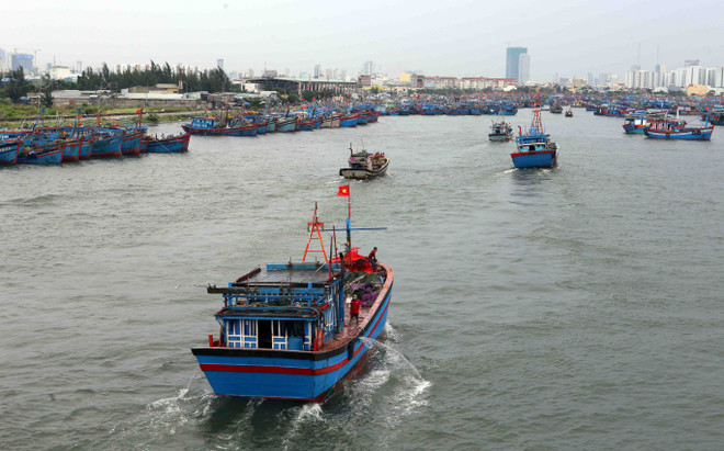 [Fotos] Vietnam realiza labores preventivas ante la llegada del poderoso tifón Doksuri ảnh 4