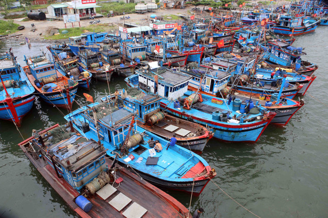 [Fotos] Vietnam realiza labores preventivas ante la llegada del poderoso tifón Doksuri ảnh 3
