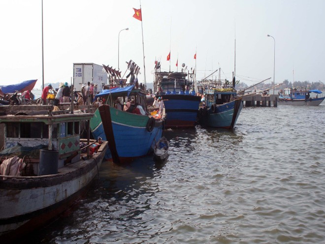 [Fotos] Vietnam realiza labores preventivas ante la llegada del poderoso tifón Doksuri ảnh 1