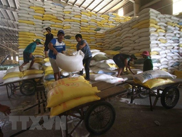 África sigue siendo un mercado potencial para Vietnam en medio del COVID-19 ảnh 1 África sigue siendo un mercado potencial para Vietnam en medio del COVID-19 ảnh 1