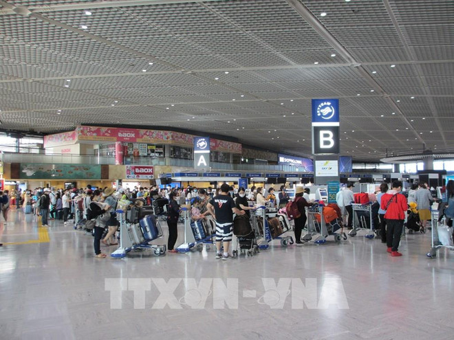 Repatrían a más de 350 ciudadanos vietnamitas desde Japón ảnh 1 Repatrían a más de 350 ciudadanos vietnamitas desde Japón ảnh 1