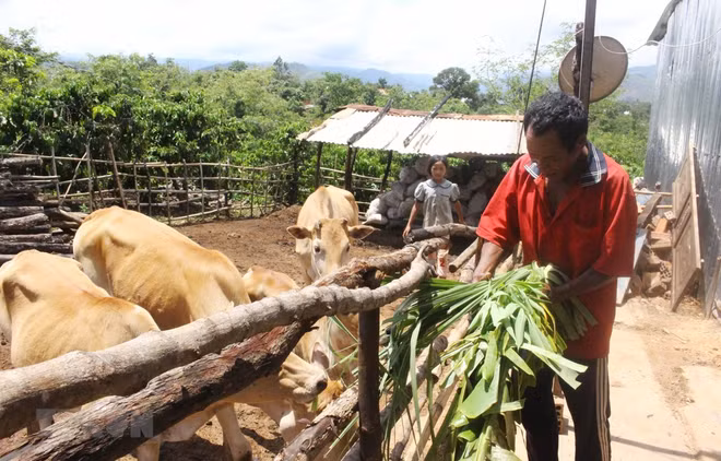 Parlamento de Vietnam intensifica atención a minorías étnicas ảnh 1 Parlamento de Vietnam intensifica atención a minorías étnicas ảnh 1